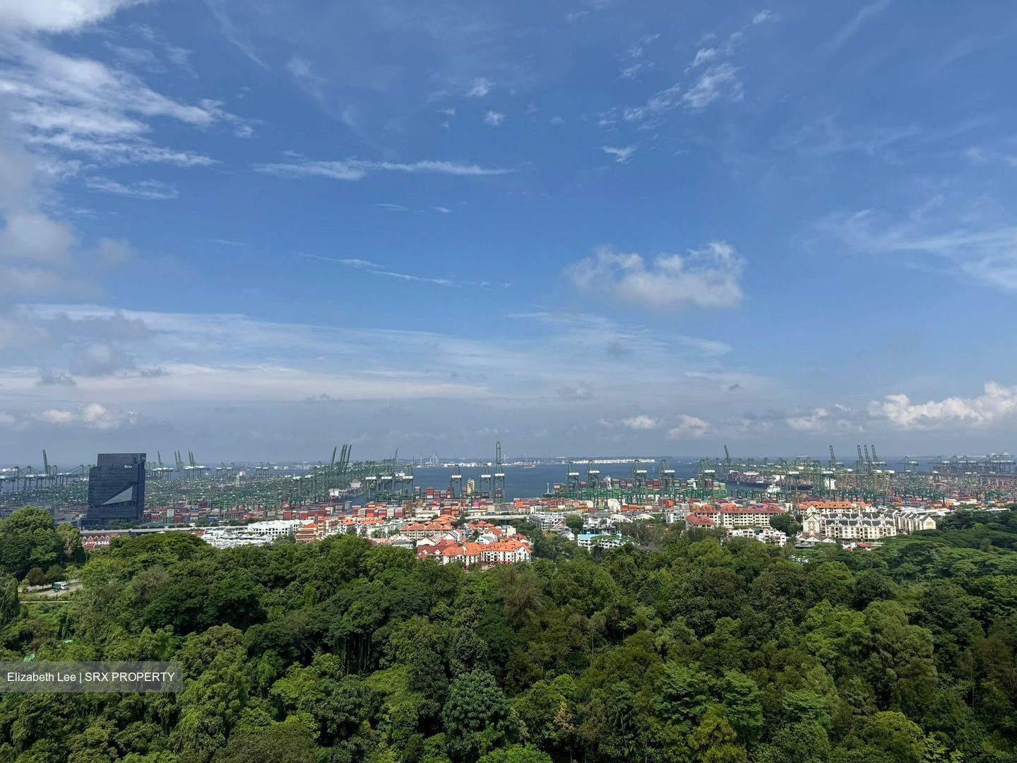 Normanton Park (D5), Apartment #579698971